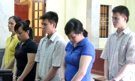 'Săn' phụ nữ bán cho ổ chứa với giá tám triệu