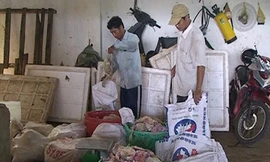 Đưa heo bệnh, gà thối ra tiêu thụ