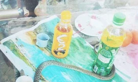 Cả xã xôn xao vì một con rắn nước