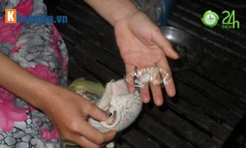 Áo ngực TQ chứa 'thuốc lạ'