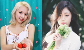 Trùng tên với thành viên BLACKPINK nhưng số phận hai nữ idol này hoàn toàn khác biệt