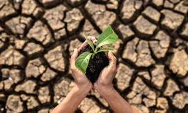 Cùng Dear, Klairs góp cây trồng rừng giữ nước