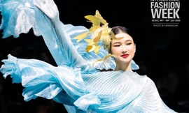 Nàng Mơ - từ cô nàng thị phi đến “mỹ nhân cổ trang” của làng mẫu Việt