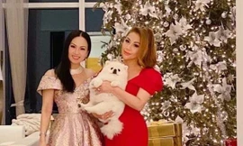 'Choáng ngợp' với cơ ngơi của ca sĩ Việt giàu nhất thế giới có tài sản 35.000 tỷ đồng