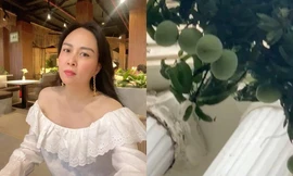 'Chơi' Xoài cả trăm triệu, quả thật chỉ có Phượng Chanel mới khiến netizens 'sốc mất mật'