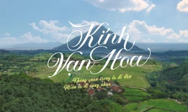 "Kính Vạn Hoa" bản điện ảnh sẽ có kịch bản mới hay chuyển thể từ truyện gốc?