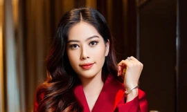 Nam Em bị phạt thêm 10 triệu đồng, nhưng chưa đáng lo bằng một nguy cơ khác