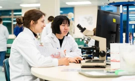 Những ngành học ít người biết nhưng đầy tiềm năng tại New Zealand (Kỳ 2) 