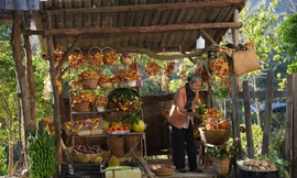 Độ chịu chi của Lý Hải: "Lật Mặt" càng kéo dài, bối cảnh càng hoành tráng