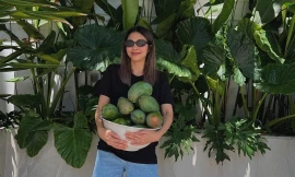 Khoe ảnh hái xoài nhưng Tăng Thanh Hà gây hoang mang vì một câu nói