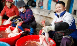 Anh Nguyễn Huy Hợp đang thịt gà thuê cho khách ngày 30 Tết. Ảnh: Nguyễn Thắng