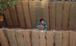 Làng nghề bánh đa nem nổi tiếng Bắc Giang kiếm bộn tiền dịp Tết