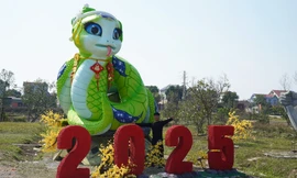 Theo tìm hiểu của PV Tiền Phong, chủ nhân của linh vật rắn là anh Bùi Văn Quân ở xã Hùng Sơn, huyện Hiệp Hòa.