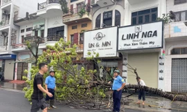 Gió to làm cây đổ ở đường phố thành phố Bắc Giang.