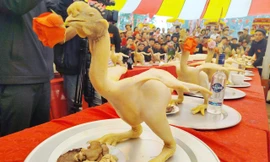 Gà dự thi phải được tạo thế và ngậm hoa.