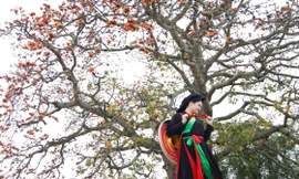 Một du khách mặc áo chị hai quan họ chụp ảnh bên cây gạo Lãnh Sơn. Ảnh: Nguyễn Thắng