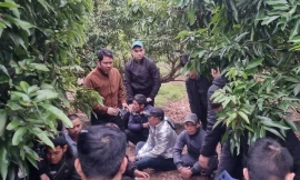 Công an huyện Lục Nam bắt giữ các đối tượng tại hiện trường.