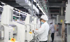 Ảnh: Nguyễn Thắng.