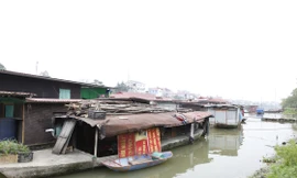 Bắc Giang khẩn trương đưa làng chài Nguyệt Đức lên bờ. Ảnh: Nguyễn Thắng 