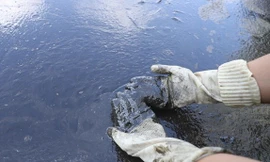 Truy tìm nguồn dầu thải đen kịt bao phủ mặt hồ Linh Đàm