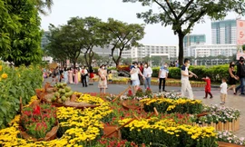 Hà Nội tổ chức 70 điểm chợ Xuân phục vụ Tết Ất Tỵ