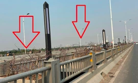 Cây xanh trên cầu Vĩnh Tuy 2 chết khô