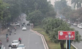 Dải phân cách giữa tuyến đường Hoàng Quốc Việt hiện nay.