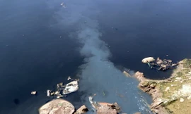 Hà Nội: Những dòng sông vẫn 'chết' dù nỗ lực hồi sinh