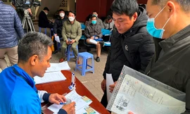 Sở GTVT Hà Nội hướng dẫn cách đổi GPLX trực tuyến