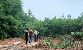 Hà Nội: 'Đất tặc' ngang nhiên phá hoại cây trồng của người dân, xúc trộm hơn 500m3 đất 