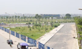 Đường BT nghìn tỷ Hà Nội quây rào để cỏ mọc