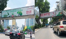 Mời và quảng cáo không có phép tại cầu vượt đi bộ Hà Nội