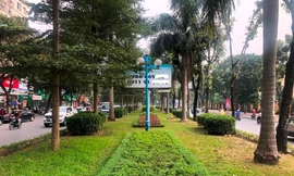 Dải phân cách giữa và cây xanh, thảm cỏ ở dải phân cách giữa đường Hoàng Quốc Việt.