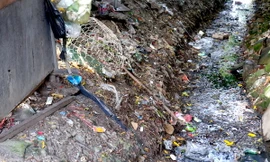 Nguy cơ sốt xuất huyết từ những kênh mương ken đặc rác giữa lòng Thủ đô