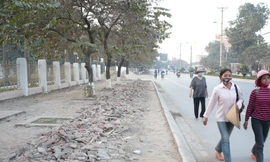 Hà Nội yêu cầu ngừng thi công đào đường trước dịp Tết Canh Tý