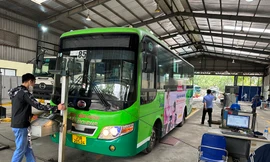 Hàng nghìn ô tô, xe buýt không thể đăng kiểm vì màu biển số khác với đăng ký