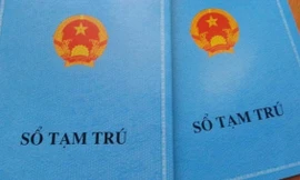 Ảnh minh họa. Nguồn internet