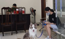Những lý do ra đường ‘lãng xẹt’ của người bị phạt vì không tuân thủ giãn cách