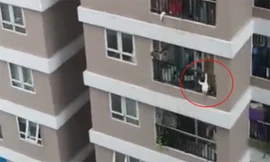 Hình ảnh cắt từ video.