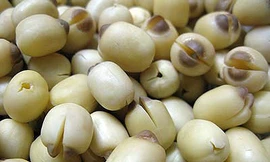 Dinh dưỡng cho người mất ngủ