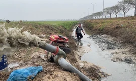 Ruộng đồng nứt toác, nông dân Hải Dương phải bơm nước bẩn cứu khát cho lúa