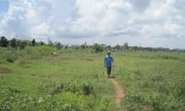 Khu công nghiệp bỏ hoang 10 năm