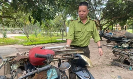 ‘Bảo tàng’ phơi bày tội ác chốn rừng xanh