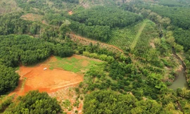 Hai dự án thủy điện 'treo' 16 năm dính loạt vi phạm, Đắk Nông kiến nghị gì?