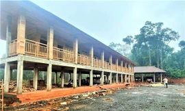 Trạm quản lý bảo vệ rừng ốp gỗ tự nhiên, người trong cuộc lên tiếng