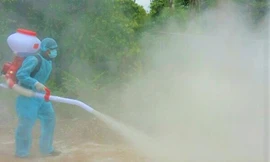 Cán bộ thú y phun thuốc khử trùng khu vực xuất hiện ổ dịch tả lợn châu Phi. Ảnh minh họa