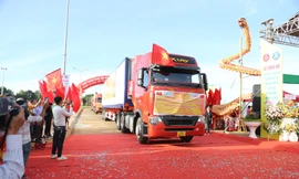 Lô sầu riêng Việt đầu tiên xuất chính ngạch sang Trung Quốc