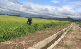 Khởi tố vụ án nâng khống công trình thuỷ lợi tại xã vùng sâu Đắk Lắk