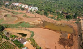 Gần 10.000 héc-ta cây trồng ở Đắk Nông bị ‘thiêu đốt’
