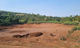 Hàng nghìn ha cây trồng ở Đắk Lắk nguy cơ chết vì nắng hạn